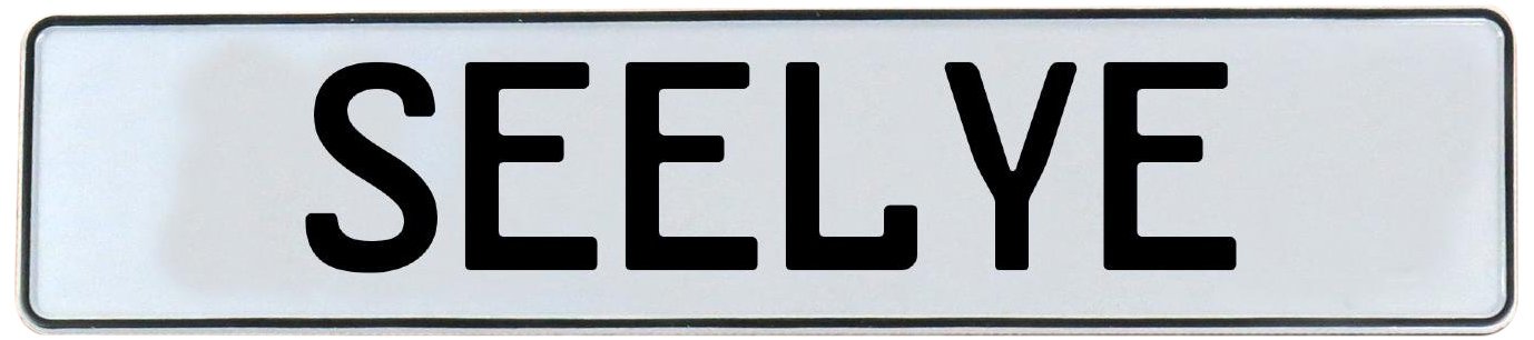 Vintage Parts 750606 White Stamped Aluminum Street Sign Mancave Wall Art (Seelye), 1 Pack