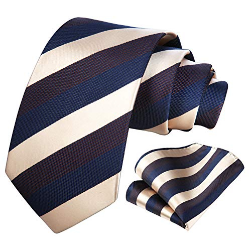 HISDERN Krawatte für Herren Streifen Formelle Krawatten Business-Krawatte Einstecktuch Hochzeitskrawatten und Einstecktuch Sets