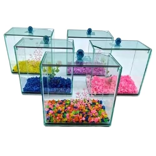 Aquário Beteira Decorado Pedras Planta Artificial Tubular Peixe