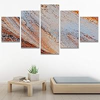 SIGNWIN 5 Panel Canvas Wall Art Abstract Closeup Digital Art Modern Artwork for Home Decorations Ready to Hang - 60