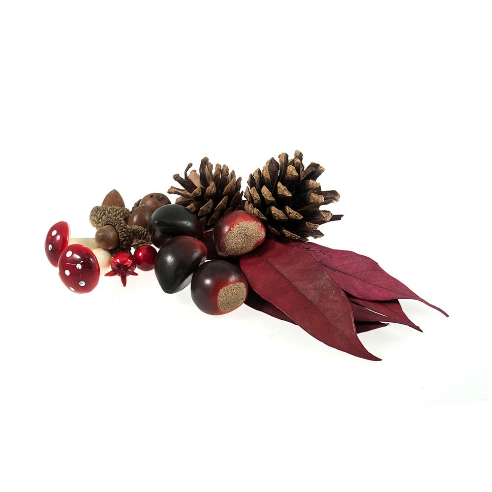 Floristrywarehouse Assorted Autumn Fruits Craft Mix With Cones And Leaves 50G Bag