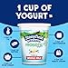 Stonyfield Organic Whole Milk Probiotic Yogurt, Vanilla, 32 oz. – Immunity & Digestive Health