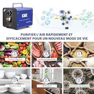 Générateur d'Ozone pour Eau et Air, 45000mg/h Purificateur d'Air à l'Ozone Éliminateur D'Odeurs avec Minuteur pour Salle de Bain, Cuisine, Animaux Domestiques, Voitures, Fumée, Eau, Fruits, Légumes