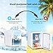 Spector 5L Mini Fridge, Portable Cooler and Warmer for Skincare & Drinks, Semiconductor Desktop Refrigerator with Removable Shelf for Home Office Use
