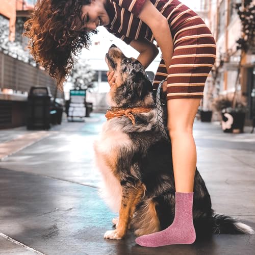 Calcetines de perros para mujer y dueños de mascotas ANOTION divertidos 2