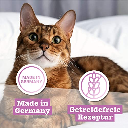 catz finefood N° 11 Lamm & Kaninchen Feinkost Katzenfutter nass, verfeinert mit Cranberries & Karotte, 6 x 400g Dosen