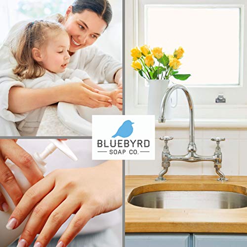 image for Bluebyrd Soap Co. Bluebyrd Kitchen Hand Soap and Lotion Set, Luxury Wa