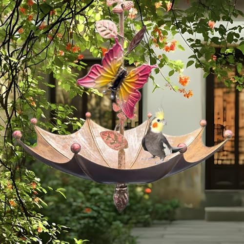 Mangeoire à oiseaux suspendre pour partager des moments de nature