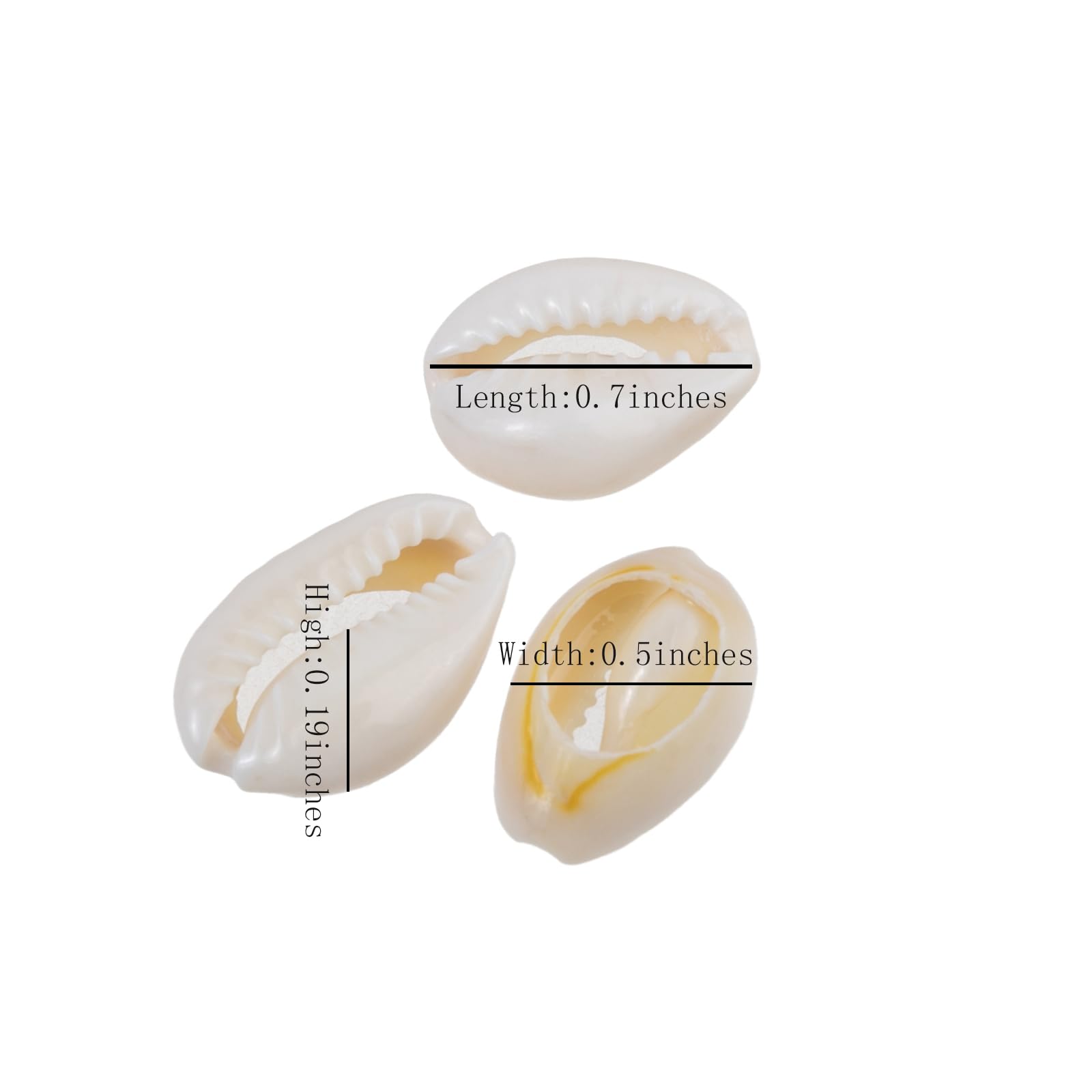 100 Muschelperlen-Set Aus Echter Naturmuschel – Oval, Glatt & Glänzend Für Schmuck, DIY & Deko