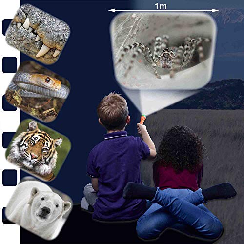 Brainstorm TOYS STEM Most Deadly Torch and Projector, 24 Images, Projects Clear Magical Pictures Up to 1m Wide - Image 2