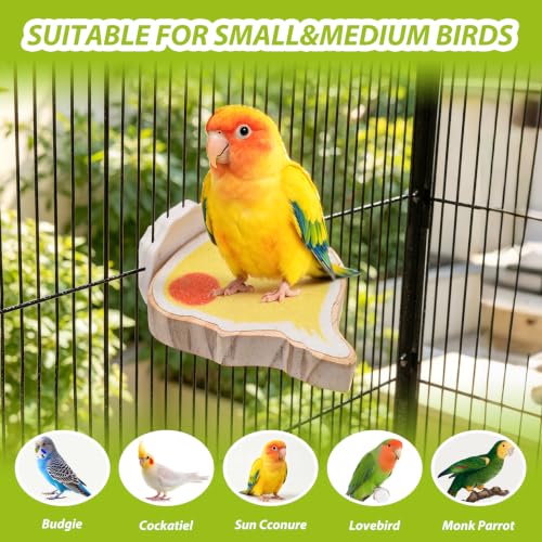 3 Pack Bird Perch Platform - image 8