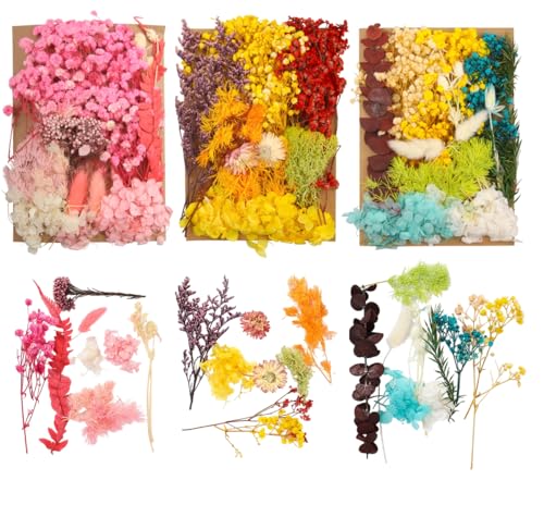 Flores secas 135 gramos para manualidades variadas miniatura 1