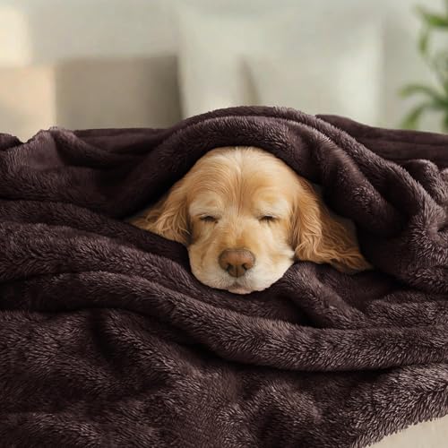 Image of Exclusivo Mezcla Plush Fuzzy Fleece Bed Blanket Twin Size, Super Soft, Fluffy and Warm Blankets for Couch, Bed, All Season (Coffee, 90x66 Inches)