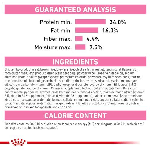 Image of ROYAL CANIN Dry Cat Food up to 12 Months, 3 lbs