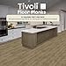 Tivoli II Self Adhesive Vinyl Floor Planks, 10 Pack - 6