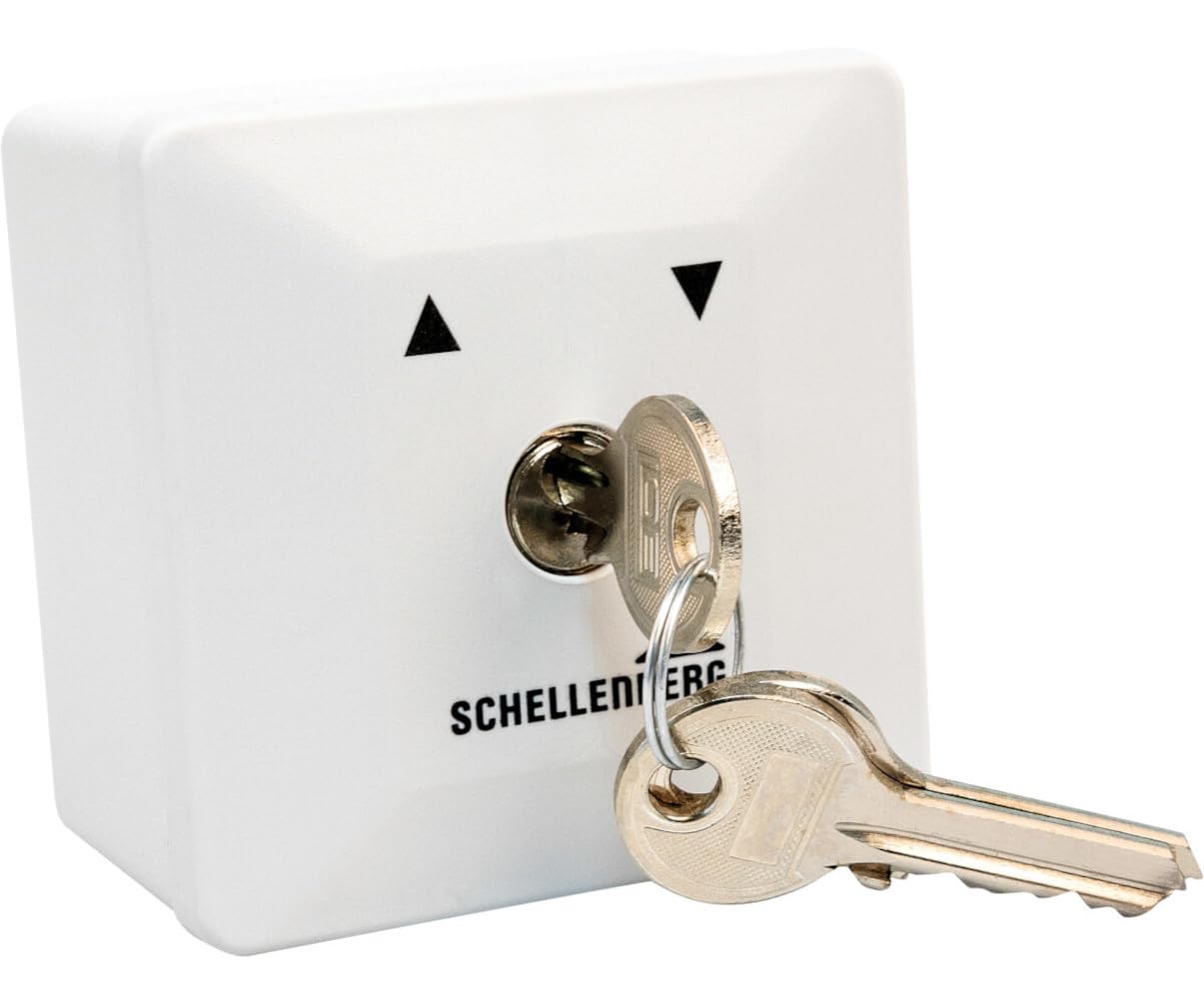 Schellenberg 25101 Schlüsselschalter Aufputz austauschbarer Schließzylinder inkl. 3 Schlüssel, zur Steuerung von elektrischen Garagen-, Außen- und Drehtorantrieben