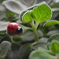 Vista 6 de 120 piezas de abejas de madera y mariquitas de madera, mariquitas de madera, adornos autoadhesivos para manualidades, álbumes de recortes, baby