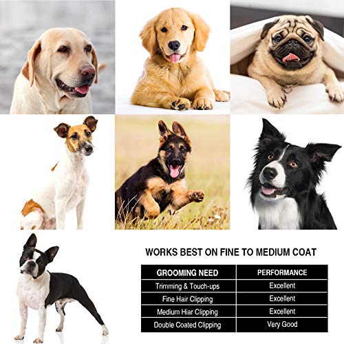 clippers for double coated dogs