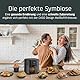 CASO AirFry 6.0 - Heißluftfritteuse, Airfryer, 6 Liter, Timer, Besonders Leise 38 db, Shake-Reminder, 8 praktische Voreinstellungen, Touch Bedienung, Edelstahl Innenraum, Schwarz