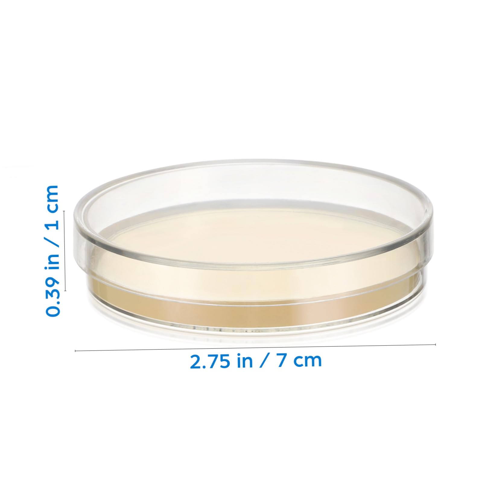 20 pezzi Piastre Petri con Agar Preversato per Esperimenti Scientifici Piastre Nutrienti Portatili e Facili da Usare per Crescita Microbiologica e Attività Didattiche in