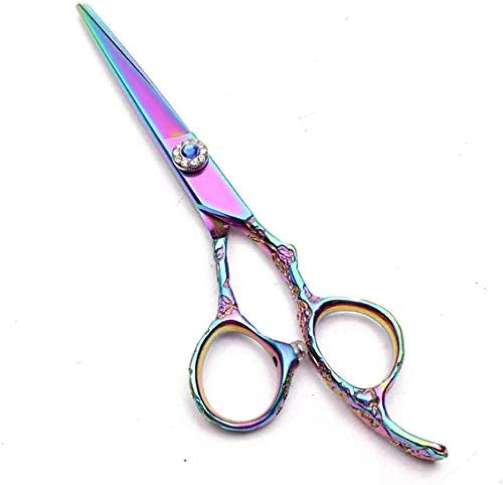 Ciseaux de Coiffure, Ciseaux à effiler de 15 cm (6 Pouces), kit de Coiffure Professionnel, Manche Prune, pour Salon de Coiffure.