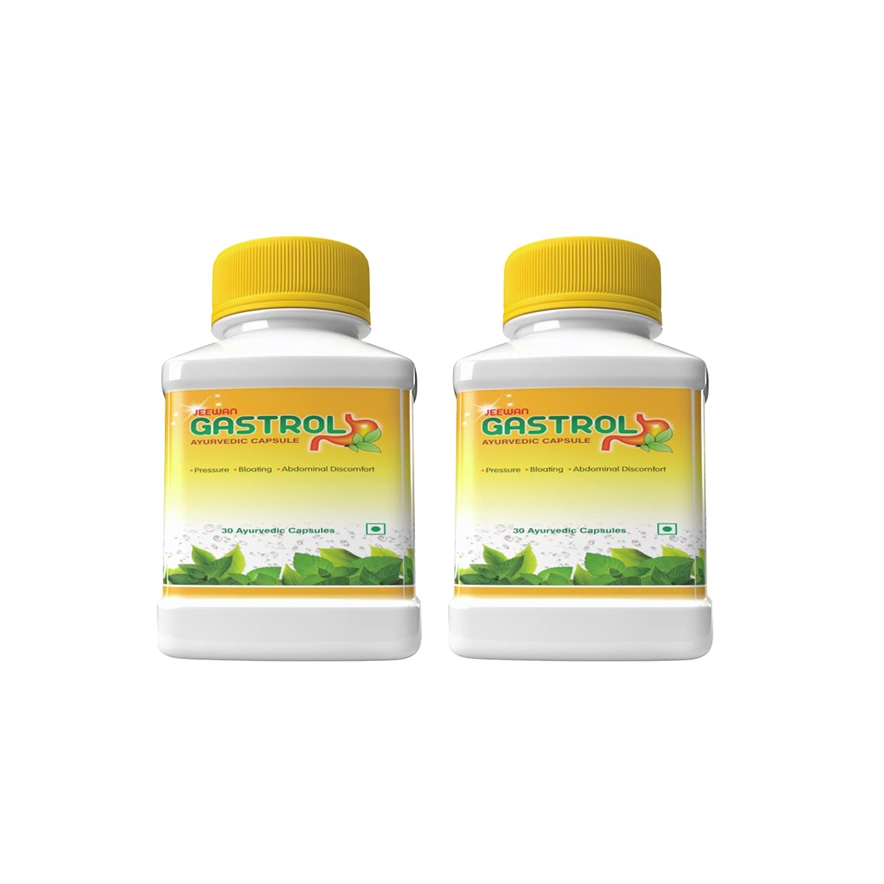 Jeewan Gastrol Ayurvedic Capsule | Gas Relief Tablets | Indigestion ayurvedic medicine | kabj medicine | Gas capsules for Digestion, Acidity, Constipation, Abdominal Pain Bloating and Stomach Gas Relief, Helps to Improve Digestive Immunity : Pack of  (B09GPXJ2GS) Amazon Price History, Amazon Price Tracker
