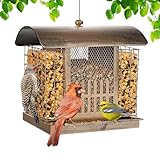 Bird Feeder for Outdoors Hanging, Birds Feeder with 2 Suet Cages, Metal Mesh Suet Feeder for Wild Finch Sparrow, 2Lbs Capacity