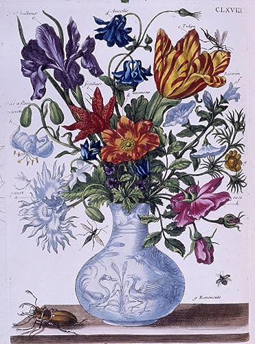 Affiche toile coléoptère Maria Si Art pour habiller un mur vide avec élégance