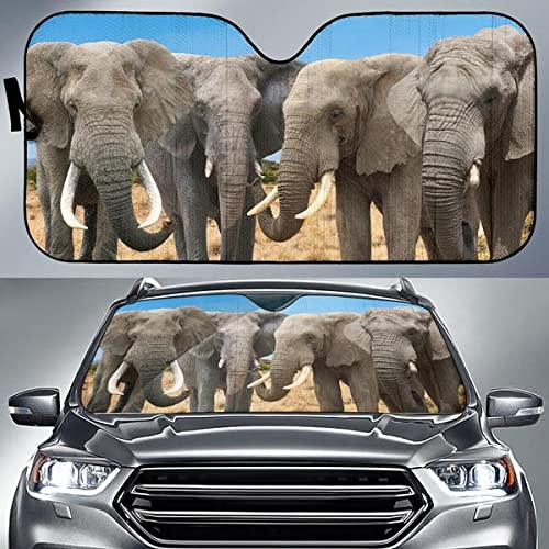 Couverture pare-brise voiture pour bloquer les rayons du soleil en été