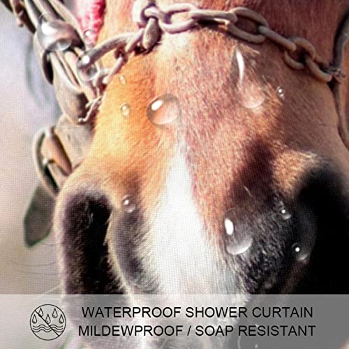 Rideau de douche cheval coloré 183x183 cm imperméable pour salle de bain - 4