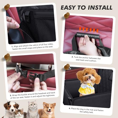 Looxmeer Hunde Autositz Extra Stabiler für Kleine Mittlere Hunde, Auto Hundesitz mit Verstärkte Wände und Sicherheitsgurte, Wasserdicht Hundeautositz für Rück- und Vordersitz, Schwarz