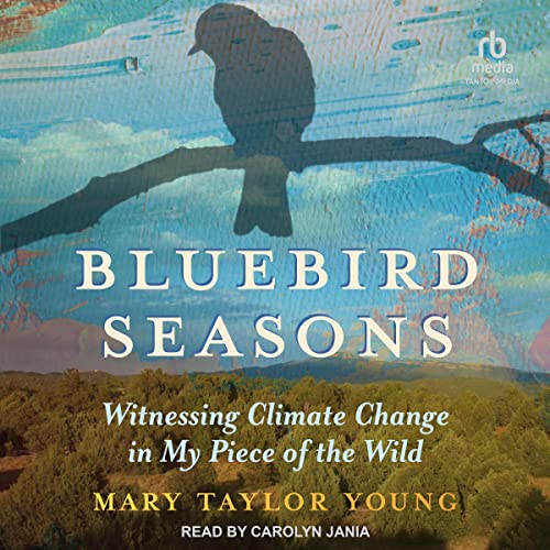 Bluebird Seasons by Mary Taylor Young episode artwork