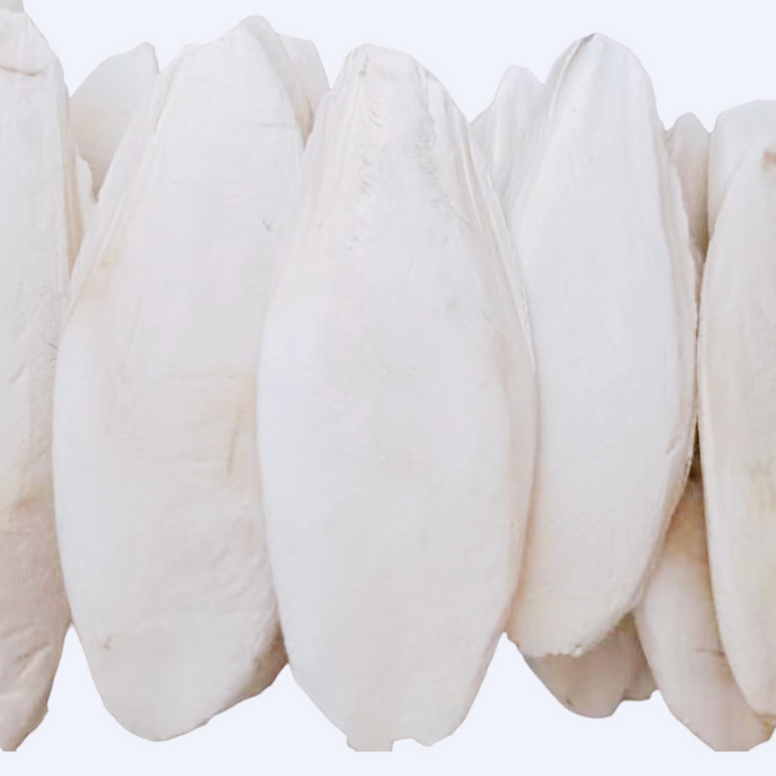 GUAKK 10PCS Large Cuttlefish Bone Chewing Toys for Birds, Parrots, Reptiles - Natural Molar & Nutrition Needs with Metal Holder for Cage for Tortoise, Snails, Budgies (16-18cm)