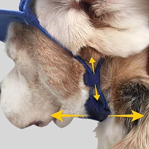 Puplid Trucker Hats For Dogs (Medium) Premium Stylish Sun Protection For The Modern Dog - Adjustable For Secure Comfortable Fit On Active Dogs (Red, Surfer Dog) #TOP6