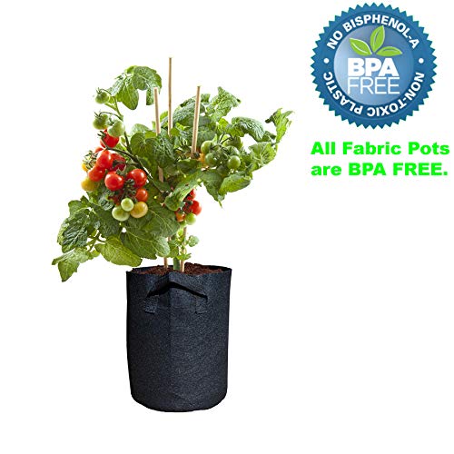Viagrow V2Gapot-10 Breathable Root Aeration Handles (10 Pack), 2 Gallon Fabric Pot, Black #TOP2