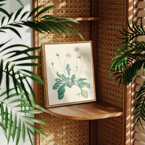 crmotu Botanical Framed Wall Art, Daisy Vintage Decor Pictures, Minimalist Floral Canvas Prints, Still Life Flower Nature Wall Decor, Bathroom Bedroom Above Bed Kitchen Rustic Home Decor, 8x10 inch