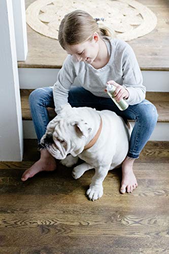 PAWFUME Premium Grooming Spray Dog Spray Deodorizer Perfume For Dogs - Dog Cologne Spray Long Lasting Dog Sprays - Dog… - Image 4