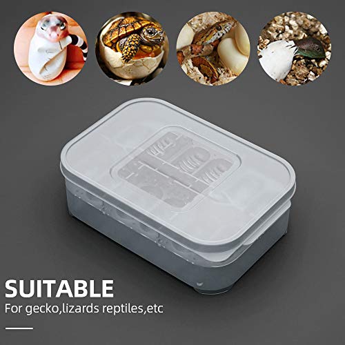 Festnight Bandeja De Ovo Réptil Caixa De Ovo Réptil Caixa De Reprodução De Répteis Caixa De Incubaçã