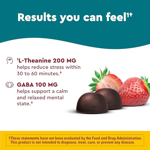 Nature Made Wellblends Stress Relief Gummies, L theanine 200mg to Help Reduce Stress, with GABA 100mg, Same Day Stress Support, 40 Strawberry Flavor Gummies - Image 4