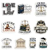 Vybonz 10PCS Lawyer Stickers for Laptop, Planner, Lawyer Stickers - Law Gifts - Lawyer Party Decorations - Gift for Women & Men Water Bottles Laptop Luggage Cup Mobile Phone Computer