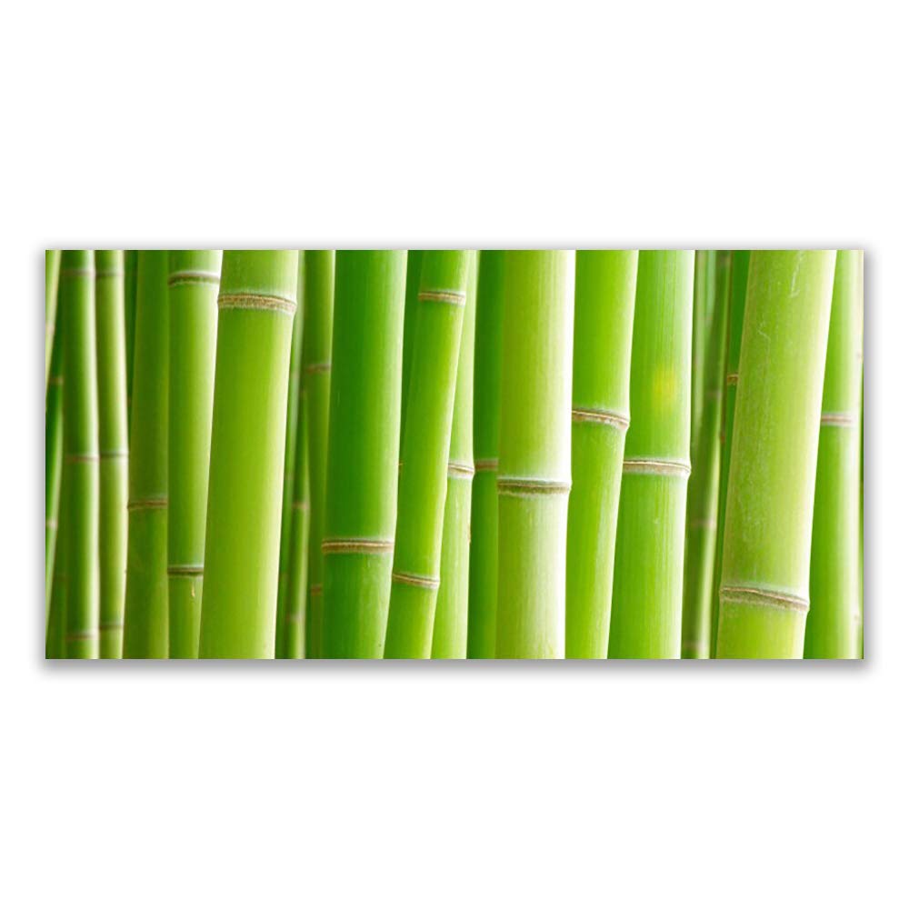 Impression sur Verre Acrylique Premium Tulup 120x60 - Tableau Mural Design Bamboo