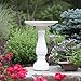 Bloem Promo Bird Bath with Pedestal, 25