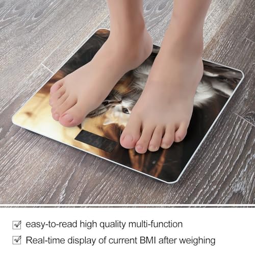 Báscula digital de baño Cat Kiss, vidrio templado miniatura 5