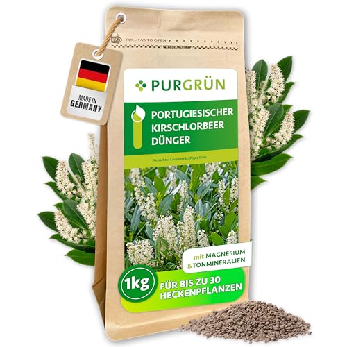 Purgrün® Portugiesischer-Kirschlorbeer-Dünger 1 kg – Extra...