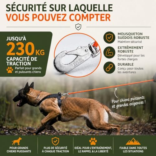 Romneys domaine Laisse - Orange (20m) – vue 3