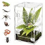 Springspinne Terrarium, Acryl Insektenbox Ausbruchsicher 25×15×15cm