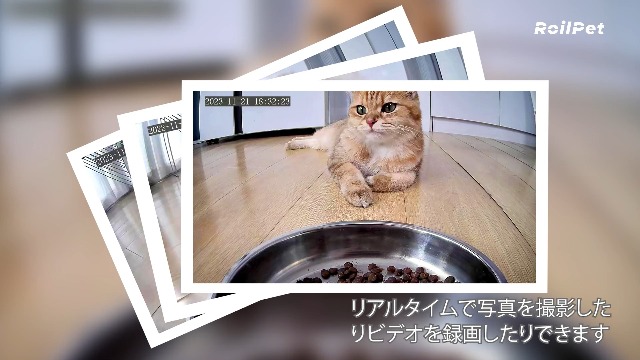 RoilPet 自動給餌器 カメラ付き Amazon | Roilpet 自動給餌器 猫 カメラ付き 1080P 暗視機能 6L大容量