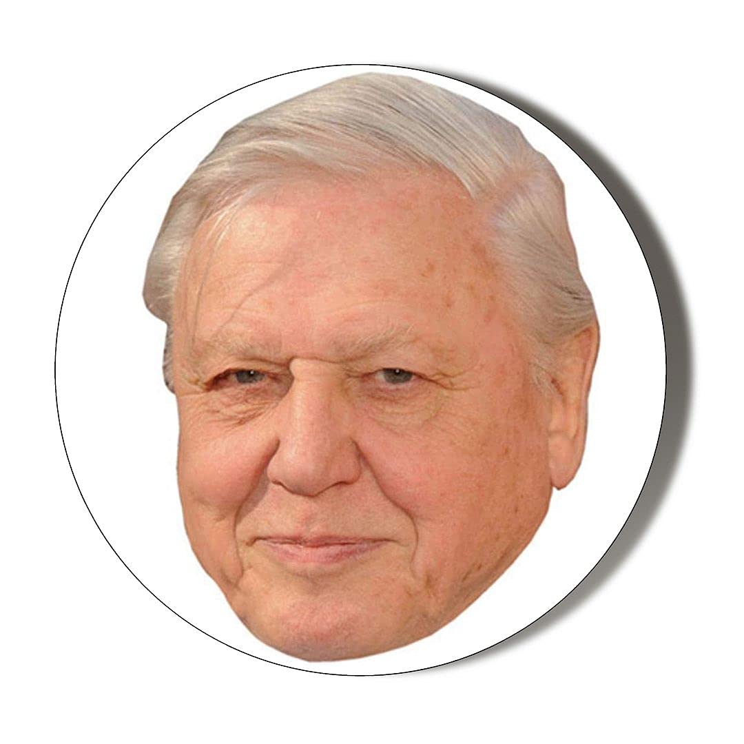 Gift Insanity Multi Sir David Attenborough Face Small 10 X 49Mm Vinyl Stickers Pack Of 10