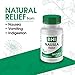 BHI Nausea Natural Relief 7 Multi-Symptom Homeopathic Active Ingredients Help Relieve Nausea, Vomiting, Bloating & Indigestion Non-Drowsy Remedy Soothes Discomfort for Women & Men - 100 Tablets
