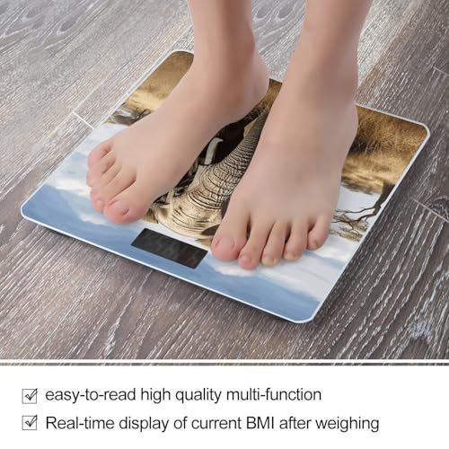 Báscula Digital Elephant de Vidrio Templado para Baño miniatura 5